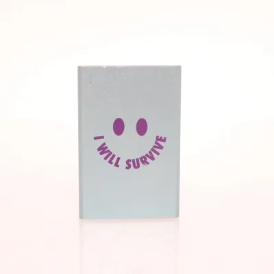 Powerbank