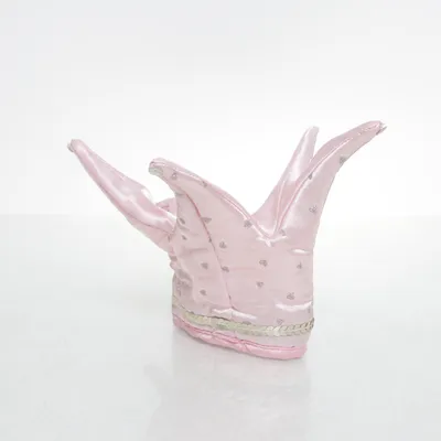 Kostuum accessoires (Roze) van Liontouch