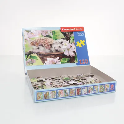 Pussel från Castorland Puzzle