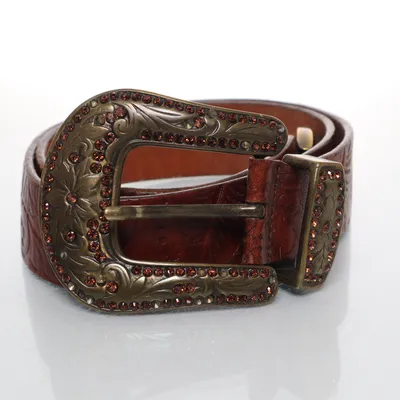Riem (Bruin) van Pikeur Leer