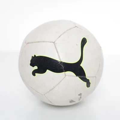 Handball (White, Multicolored) from Puma