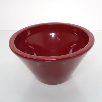Fruitschaal (Rood)