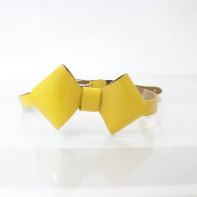 Belt (Yellow) from Ted Baker