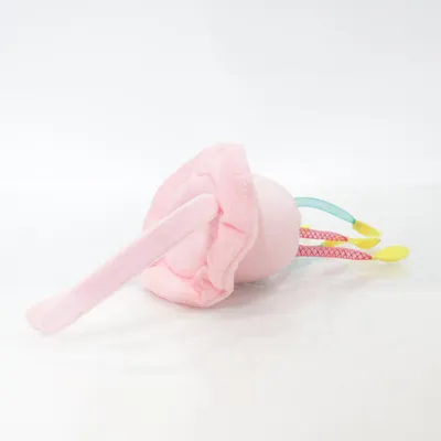 Kostuum accessoires (Roze)