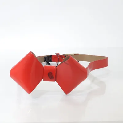 Bälte (Röd) från Ted Baker