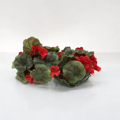 Kunstplant (Rood, Groen)