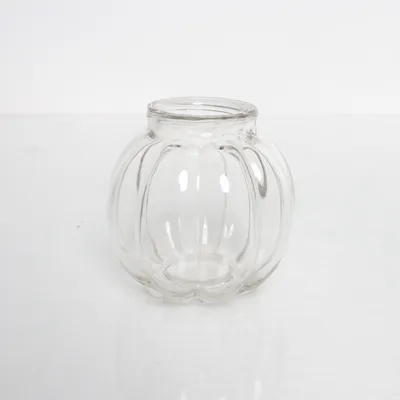 Vase (Transparent)