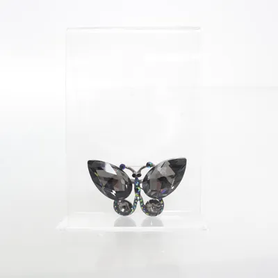 Broche (Zilver, Meerkleurig) Onbekend materiaal, Glas