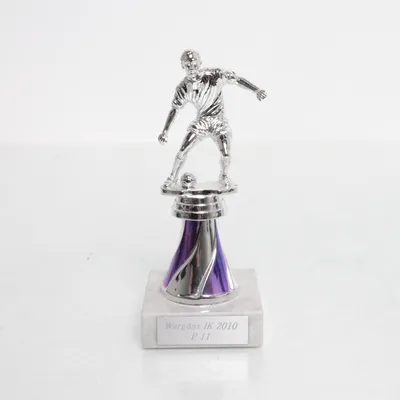 Collectible (Silver, Purple)