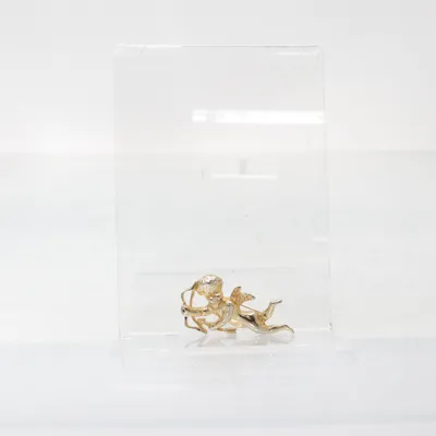 Broche (Goud) Onbekend materiaal