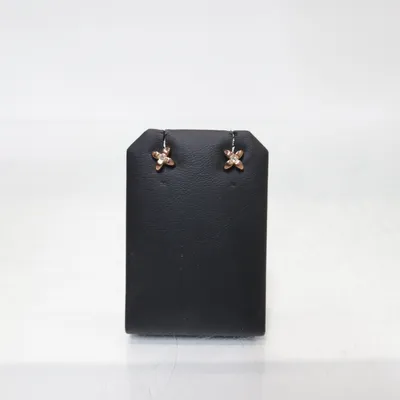 Earrings (Gold, Silver) from Fossil Unknown metal