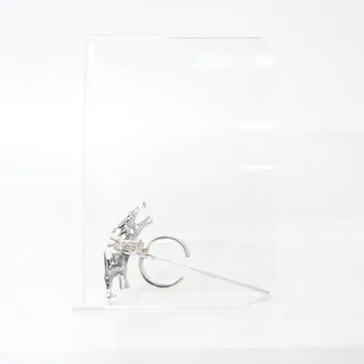Broche (Sølv) Ukendt metal