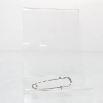 Broche (Zilver) Onbekend materiaal