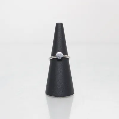 Ring (Zilver) Roestvrij staal