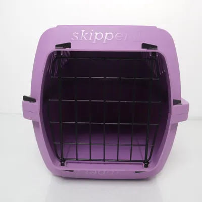 Pet accessory (Purple) from Marchioro