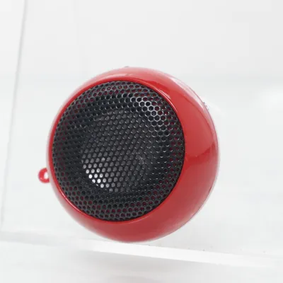 Bluetooth speaker (Bruin)