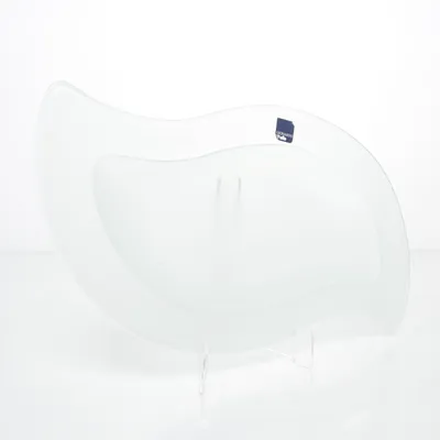 Fish platter (Blue) from Leonardo