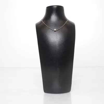 Necklace (Gold) from Amerik Unknown metal