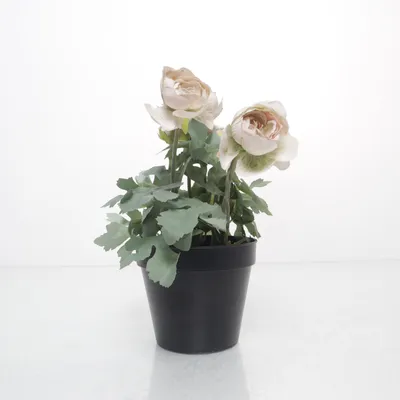 Kunstig plante (Sort, Grøn, Pink) fra IKEA
