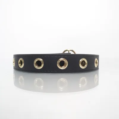Bälte (Svart, Guldfärgad) från NLY Accessories