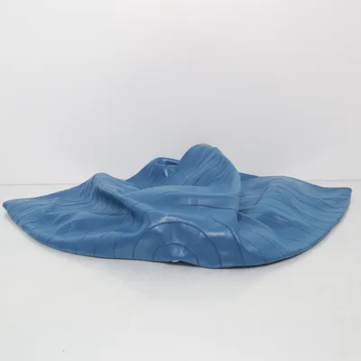 Pilates ball (Blue)