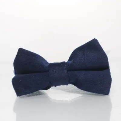 Bow tie (Blue) from Grupo Inditex