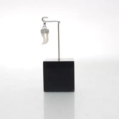 Charm (Silver, White) from Fossil Unknown metal