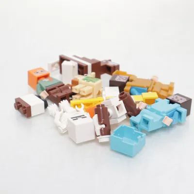 Bouwset (Meerkleurig) van Minecraft Dungeons