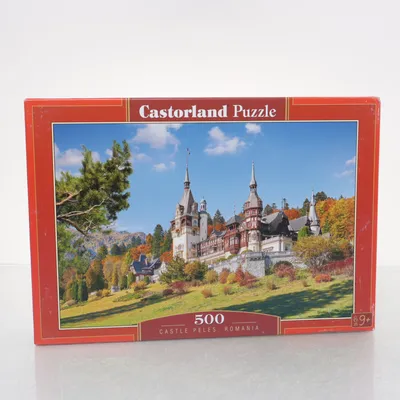 Puzzel van Castorland Puzzle