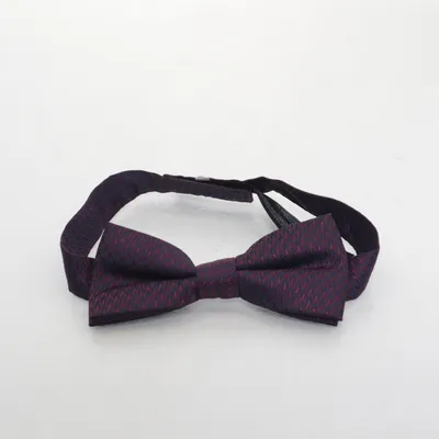Bow tie (Purple) from Next Polyester