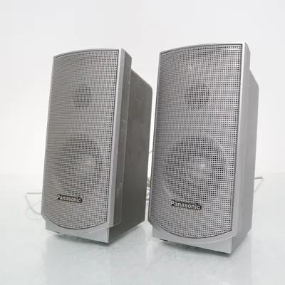 Speaker (Gray) from Panasonic