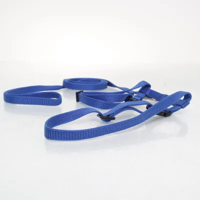 Kattenharnas (Blauw)