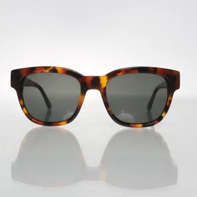 Sunglasses (Brown) from Triwa