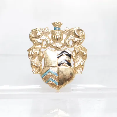 Brosch (Guldfärgad, Flerfärgad) Rostfritt stål