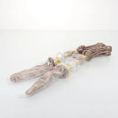 Gordijn embrasse (Beige, Goud)