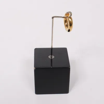 Örhänge (Guldfärgad) Okänd metall