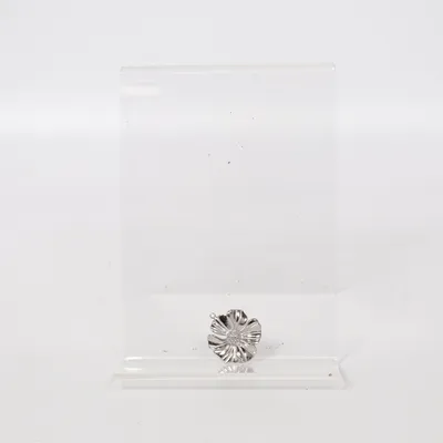 Hänge (Silverfärgad) Okänd metall