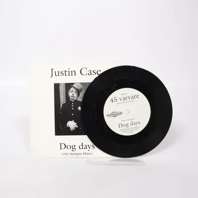 Vinylplade