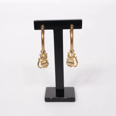 Oorbellen (Bruin, Goud) Onbekend materiaal
