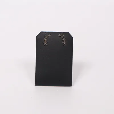 Earrings (Silver) Silver