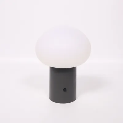 Nattlampa (M2062853) från Mio