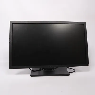 Computer screen (P2411HB) from Dell