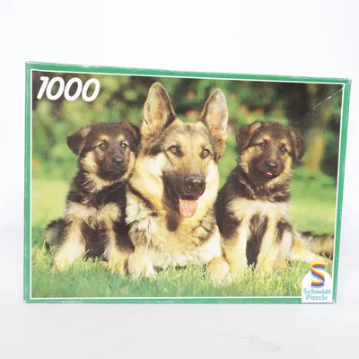 Puzzel van Schmidt Puzzle