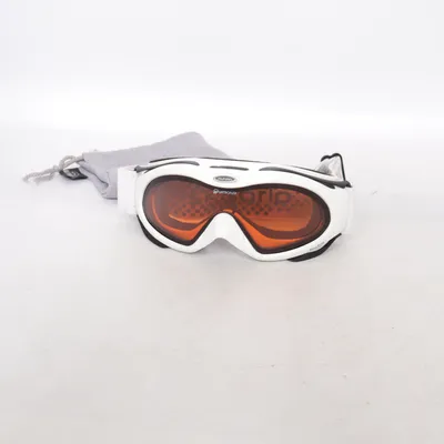 Ski goggles (QUATTROFLEX) from Alpina