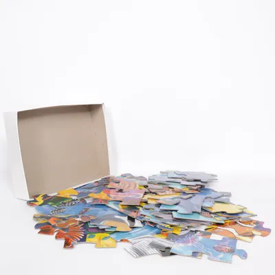 Puzzle from Melissa & Doug