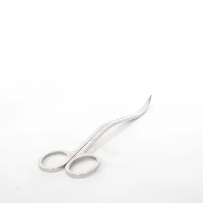 Ciseaux (Argent)