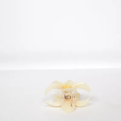 Haarklem (Beige, Geel)