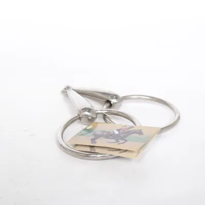 Équipement d'équitation (Argent)