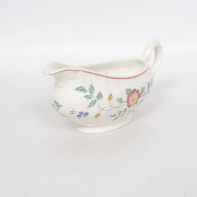 Såssnipa (Vit, Flerfärgad) från Churchill