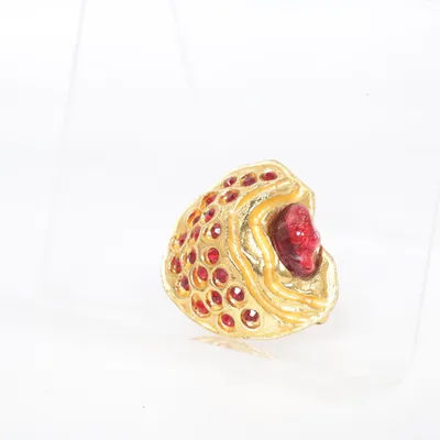 Broche (Goud, Rood) Onbekend materiaal